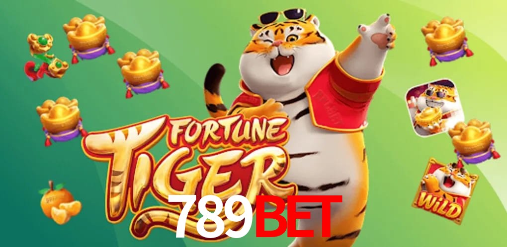 Experiência VIP 789bet